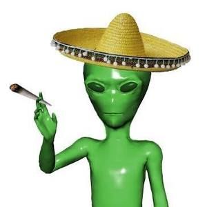 Meet your Posher, Đaɲ